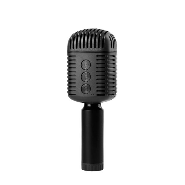 Karaoke Microphone, Speaker - Image 7